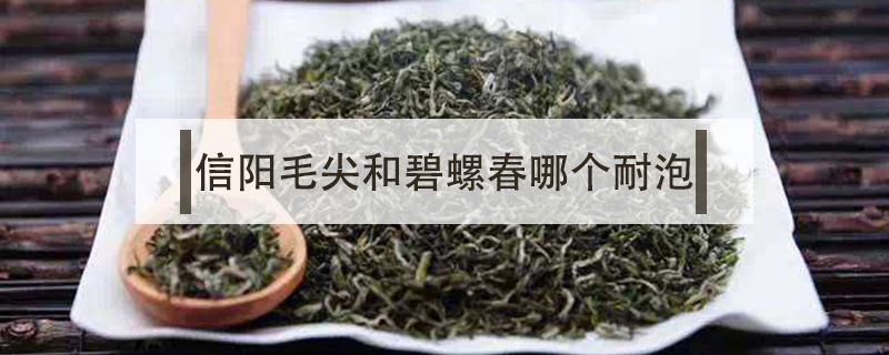 信陽毛尖和碧螺春哪個(gè)耐泡