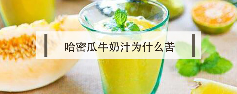 哈密瓜牛奶汁為什么苦