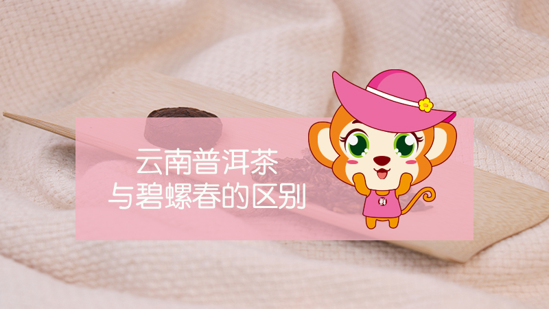 云南普洱茶與碧螺春的區別