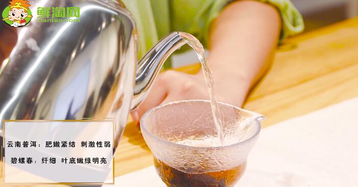 云南普洱茶與碧螺春的區別