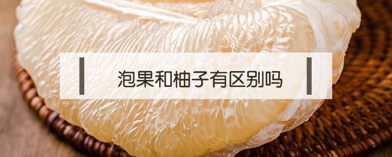 泡果和柚子有區(qū)別嗎