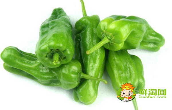 薄皮辣椒選什么種子好,高產(chǎn)薄皮辣椒種子是什么
