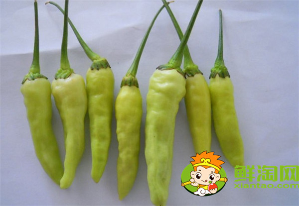 泡椒鳳爪用什么辣椒，泡鳳爪太酸了加點什么好