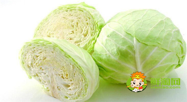 卷心菜做沙拉要焯水嗎，日式卷心菜絲是生的嗎