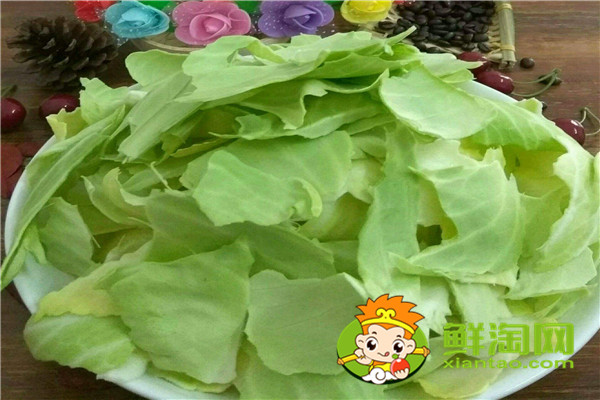 包菜哪個(gè)品種好，進(jìn)口包萊種子有哪些