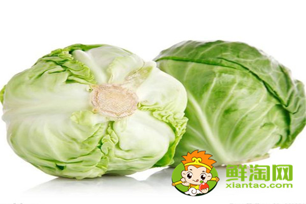 7月份可以種包菜嗎，礦石鎮卷心菜成熟時間
