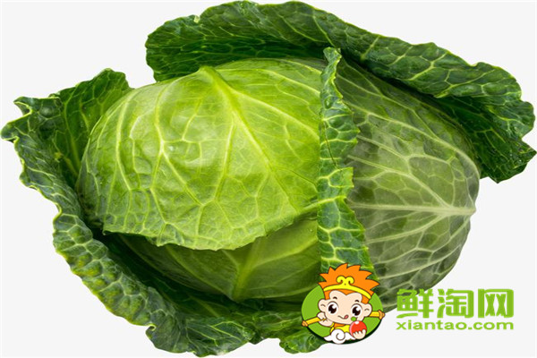 包菜買松的還是買緊的，圓包菜和平包菜哪個(gè)好吃