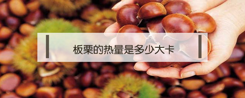 板栗的熱量是多少大卡