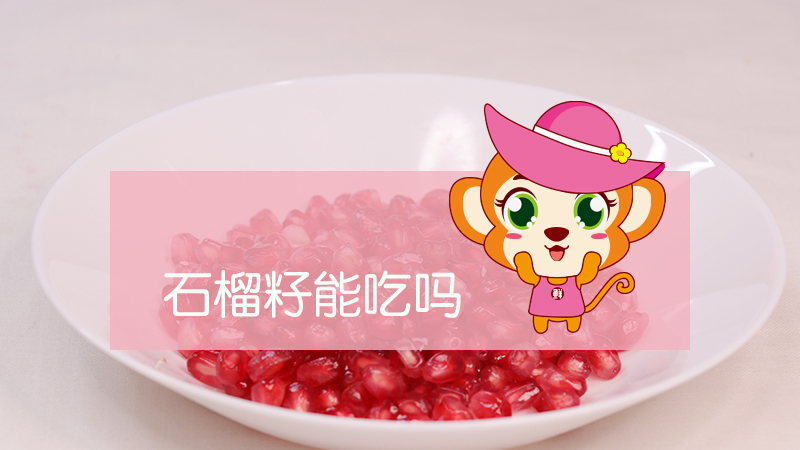 石榴籽能吃嗎