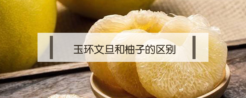 玉環(huán)文旦和柚子的區(qū)別