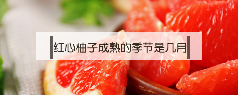 紅心柚子成熟的季節(jié)是幾月