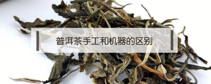 普洱茶手工和機(jī)器的區(qū)別