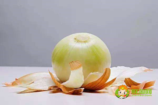 洋蔥沒熟吃了會怎么樣，洋蔥生吃好還是炒熟好