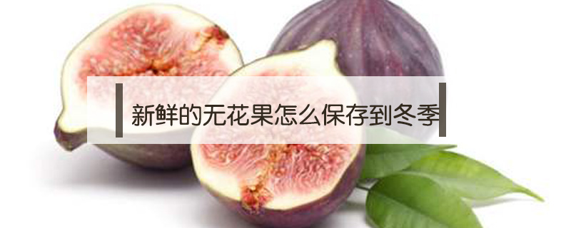 新鮮的無花果怎么保存到冬季