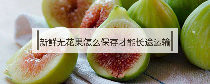 新鮮無花果怎么保存才能長途運(yùn)輸