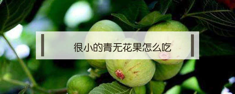 很小的青無花果怎么吃