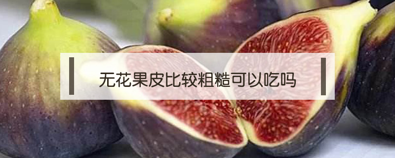 無花果皮比較粗糙可以吃嗎