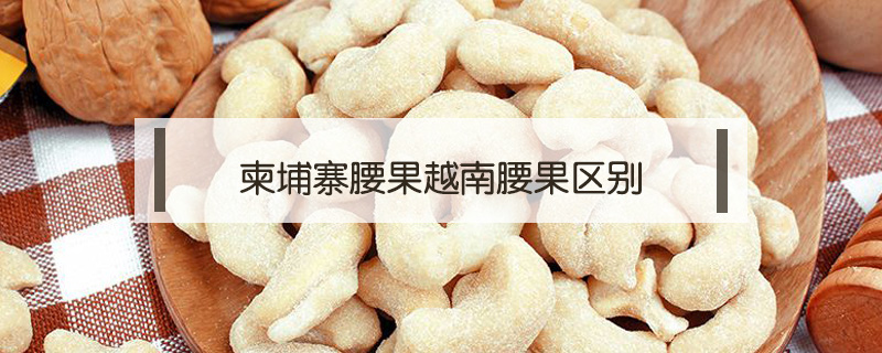 柬埔寨腰果越南腰果區(qū)別