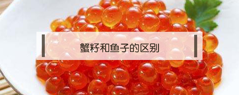蟹籽和魚(yú)子的區(qū)別