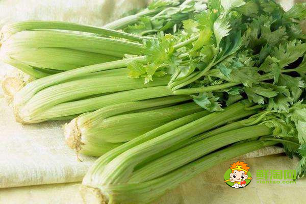 芹菜是什么季節的蔬菜，水芹是什么季節的菜