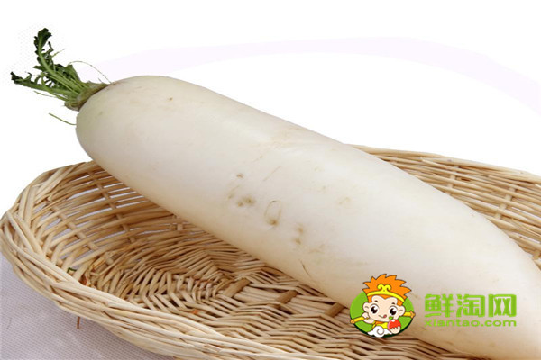 泡白蘿卜的水還可以泡什么，泡蘿卜是用什么水