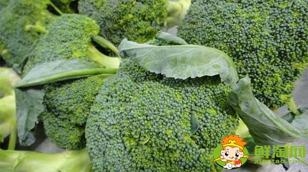 西蘭花煮黃了還能吃嗎，西蘭花煮多久能熟