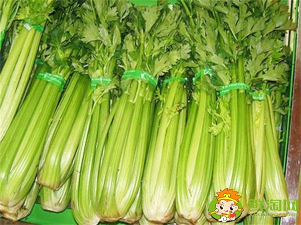 山東芹菜產地哪里有名，西芹哪里產的最好