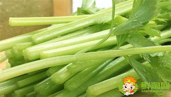 山東芹菜產地哪里有名，西芹哪里產的最好