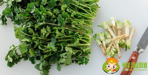 香菜的做法如何腌制，新鮮香菜怎么腌制咸菜