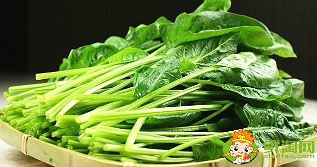 如何挑選菠菜，什么樣的菠菜好吃