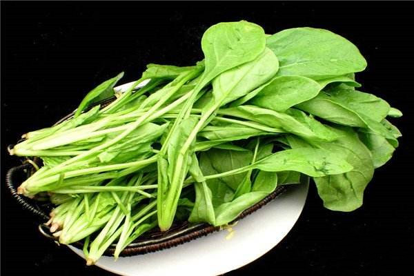 兒童吃菠菜怎么做好吃，這么做兒童吃了根本停不下來(lái)