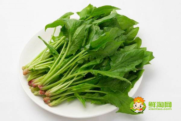 家常豆腐湯菠菜怎么做好喝,科學證實豆腐菠菜可以一起吃很好吃!