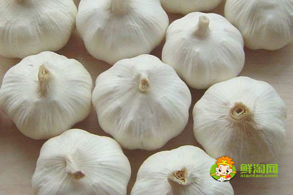 蜂蜜不能和什么一起吃，原來蜂蜜是不適合加到豆?jié){中飲用