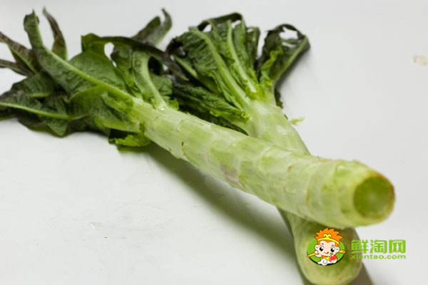 蜂蜜不能和什么一起吃，原來蜂蜜是不適合加到豆?jié){中飲用