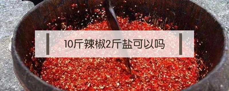10斤辣椒2斤鹽可以嗎