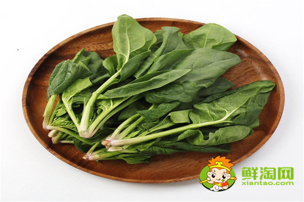 為什么不能經常吃菠菜，什么時候不能吃菠菜