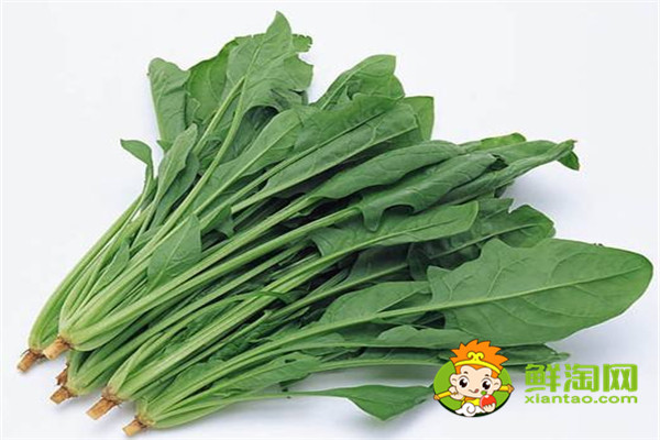 沒有冰箱如何保存菠菜，新鮮菠菜洗完怎么保存