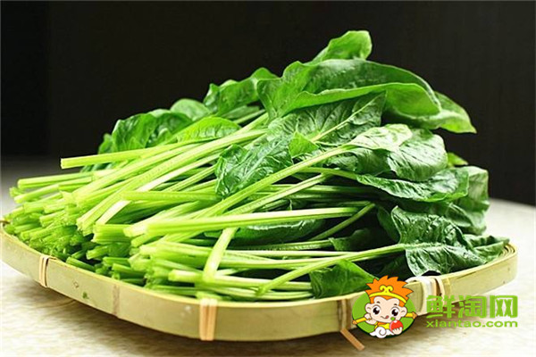 沒有冰箱如何保存菠菜，新鮮菠菜洗完怎么保存