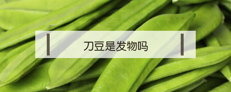 刀豆是發物嗎