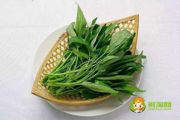 秋天為什么要少吃空心菜,這些人最好不要再吃空心菜啦!