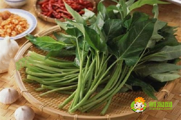 空心菜燙多久能熟,這么做空心菜好吃又好看