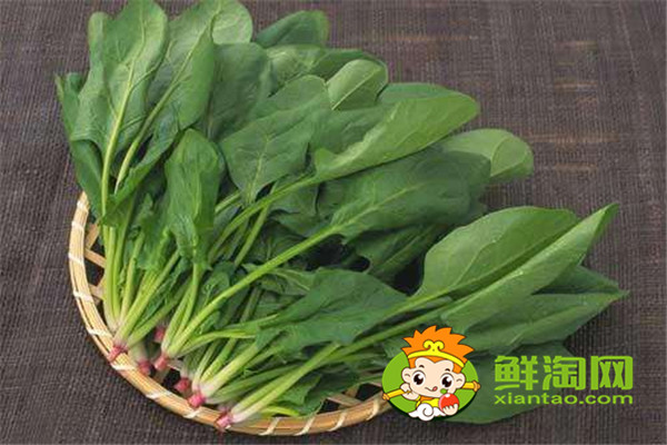 菠菜用開水燙一下能吃嗎，每天吃菠菜對身體好嗎