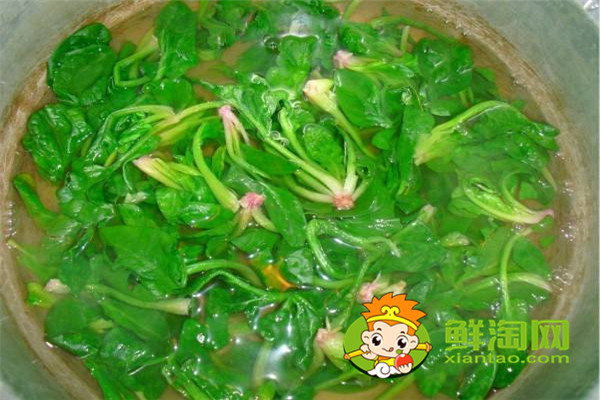 菠菜用開水燙一下能吃嗎，每天吃菠菜對身體好嗎