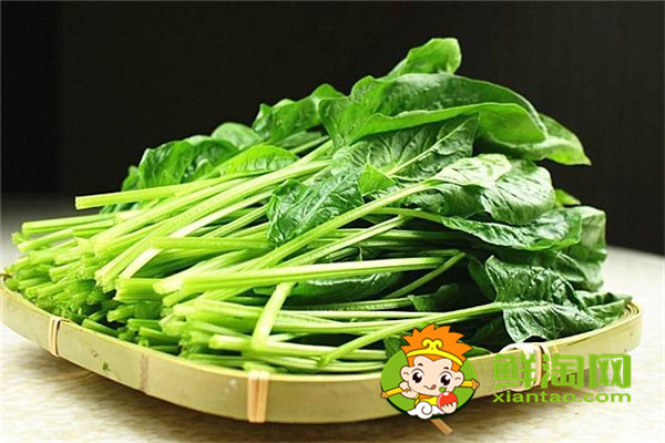 菠菜用開水燙一下能吃嗎，每天吃菠菜對身體好嗎