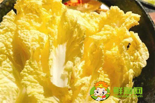 娃娃菜怎么存放時間長，娃娃菜常溫能放多久