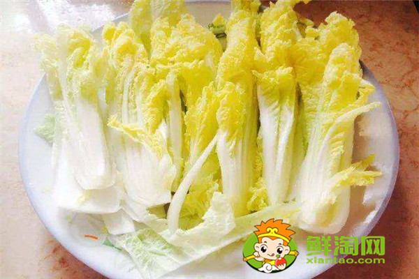 娃娃菜怎么存放時間長，娃娃菜常溫能放多久