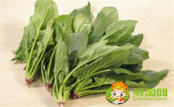 菠菜一定要吃熟的嗎，菠菜未熟吃了會(huì)怎么樣