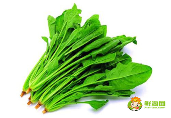 菠菜一定要吃熟的嗎，菠菜未熟吃了會(huì)怎么樣
