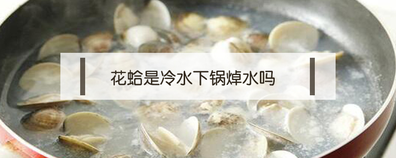 花蛤是冷水下鍋焯水嗎