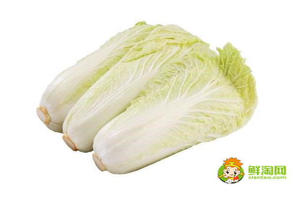 娃娃萊放在冷庫能保存多久，娃娃菜儲存時間最久的辦法